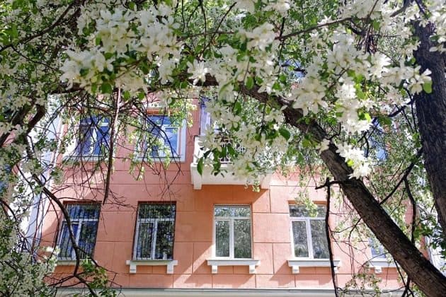 Миры и дворы Уралмаша